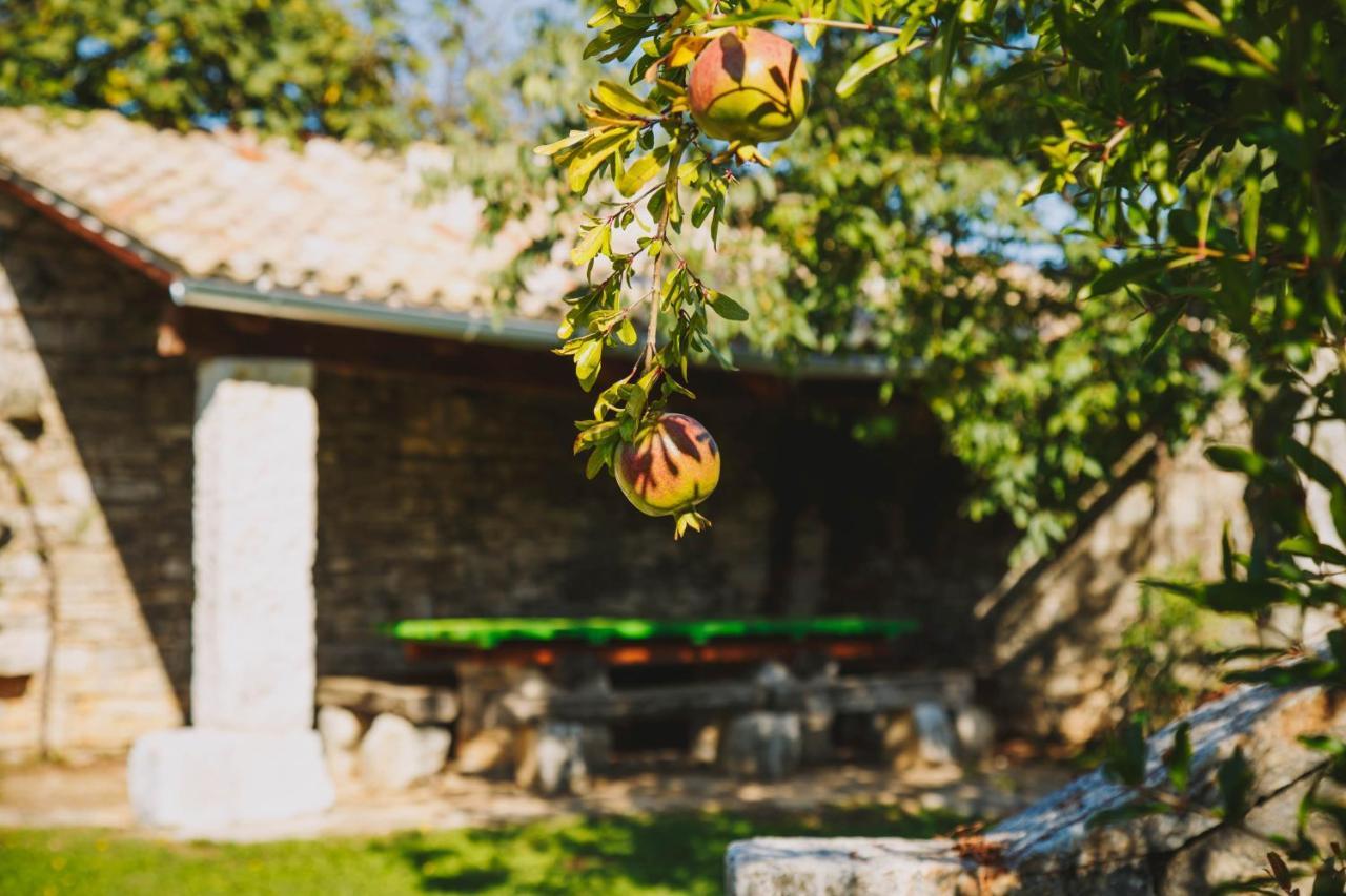 Arbalovija Rustic