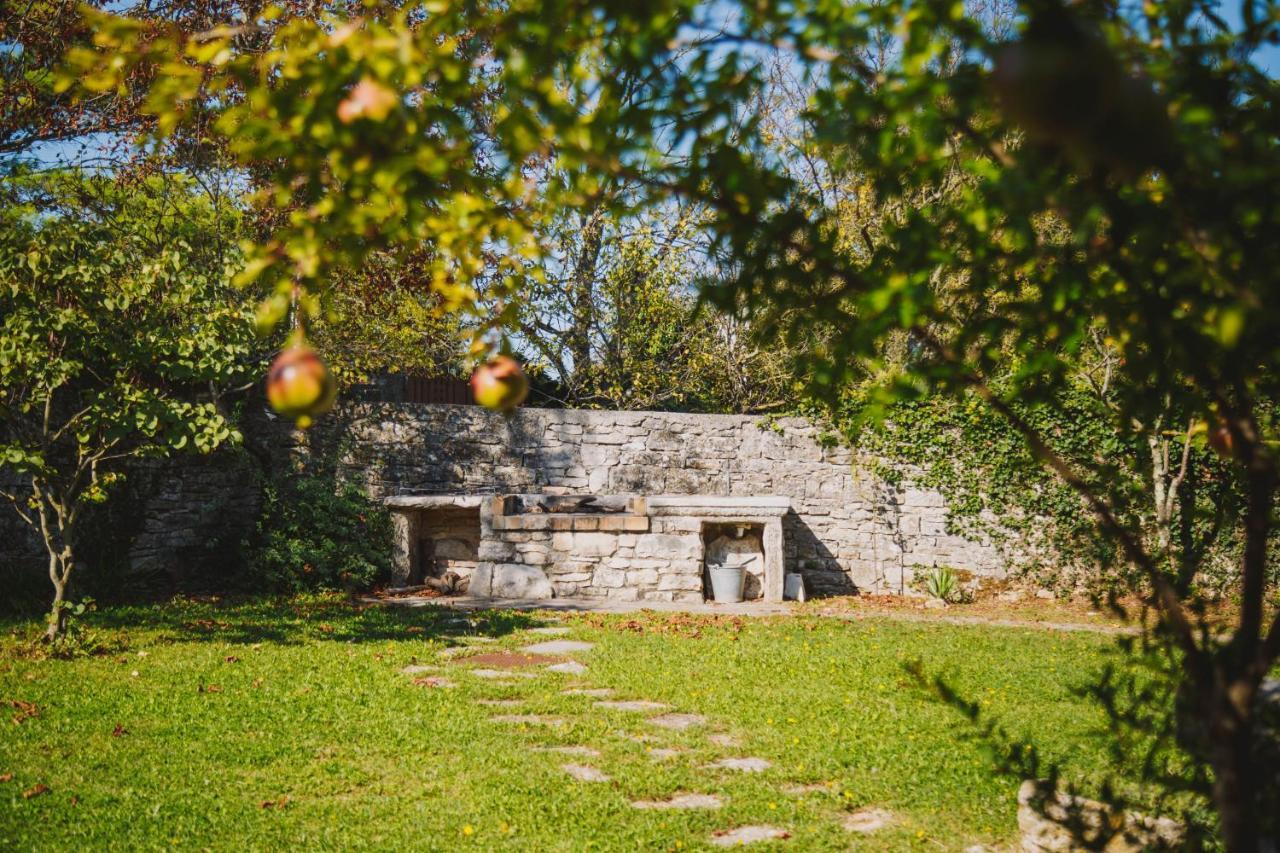 Villa Arbalovija Rustic *