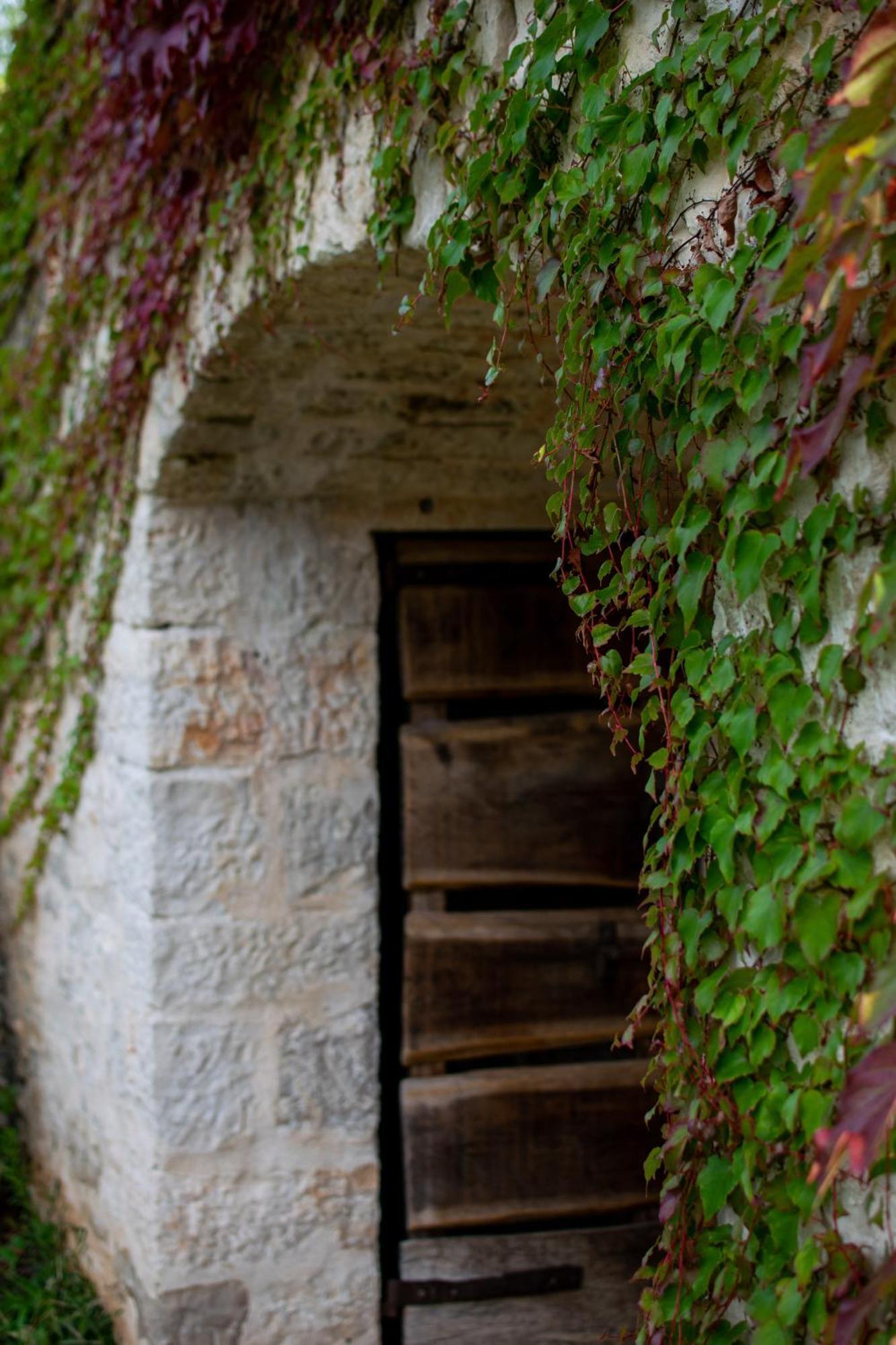 Villa Arbalovija Rustic *